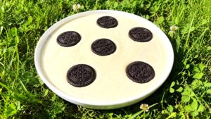 Mehr über den Artikel erfahren Oreo Dessert